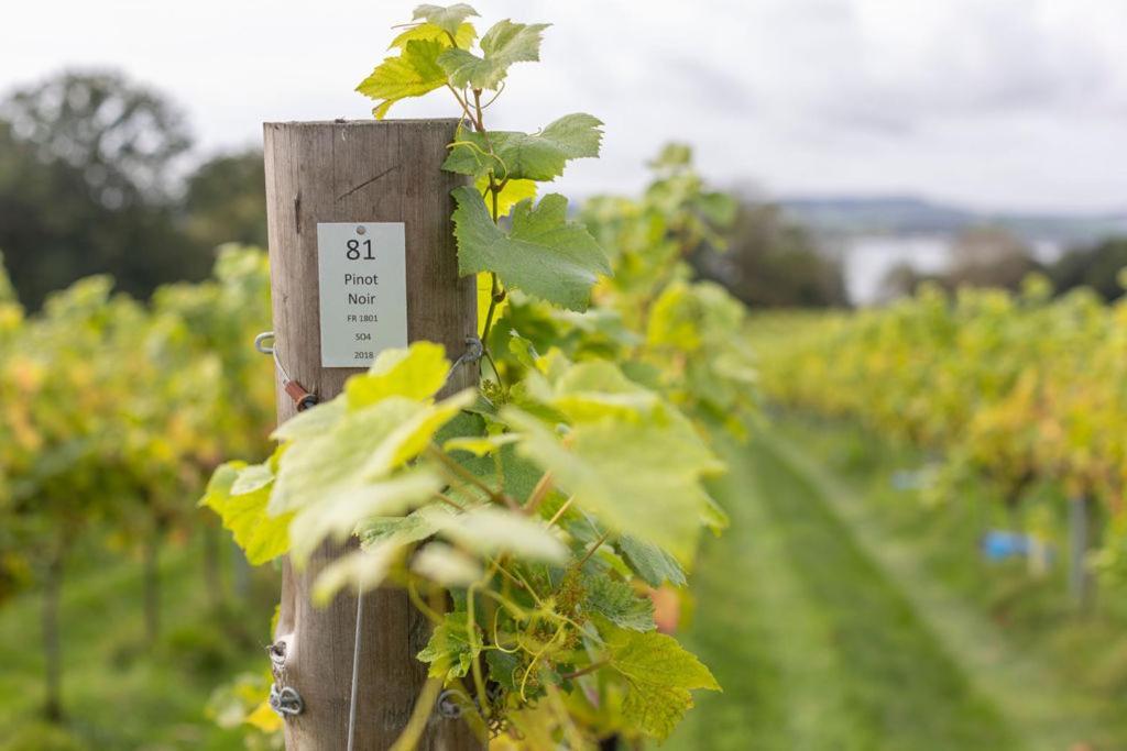 Lympstone Manor Hotel Restaurant & Vineyard - Relais & Chateaux Exmouth Exterior photo