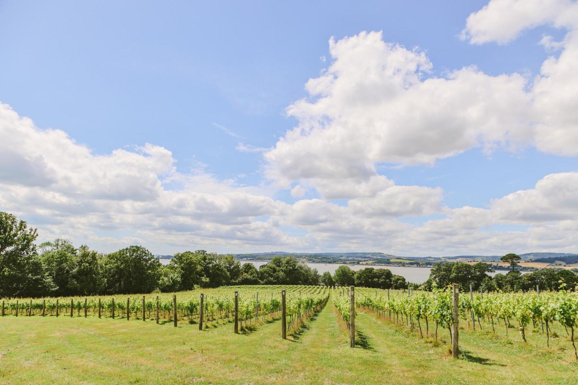 Lympstone Manor Hotel Restaurant & Vineyard - Relais & Chateaux Exmouth Exterior photo
